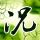 神雕杨过：朕只想行侠仗义！